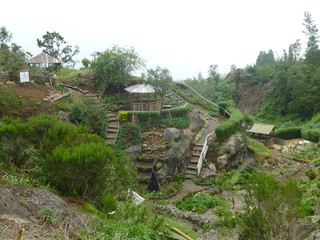 Nature des &icirc;les