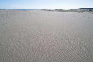 中田島砂丘と遠州灘