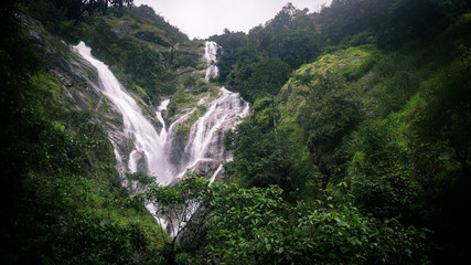 Fototapeta premium waterfall