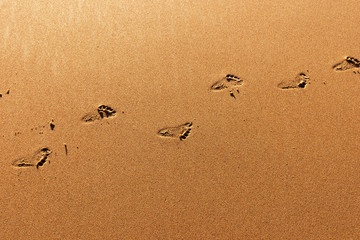 Footprints from the child on brown sandy beach