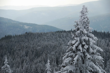 Snow covered mountain range