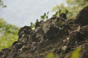 岩登り　岩場　登山