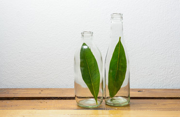 leaves in glass bottle