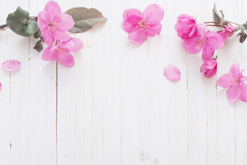 apple flowers on wooden background