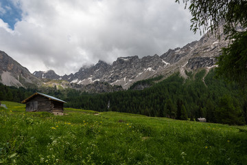 Fototapeta na wymiar Cime alpine