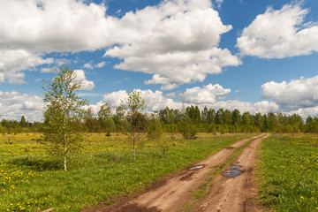 Fototapeta na wymiar dirt road in the spring meadow
