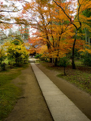 Naklejka premium Jesienne liście światowego dziedzictwa Hiraizumi Chusonji