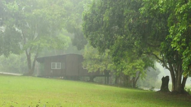 Rainy day in rural scene, Storm 
