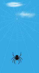 spider illustration