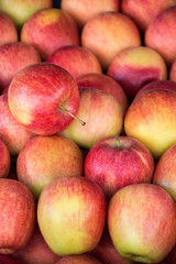 Fototapeta na wymiar Colorful background of gala apples.
