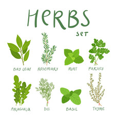 Set of 8 vector herbs - obrazy, fototapety, plakaty