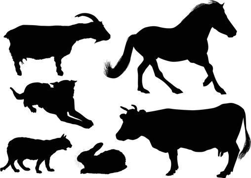 six isolated black farm animals collection