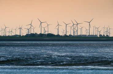 Windpark an der Nordseeküste, Ostfriesland. 16120.jpg