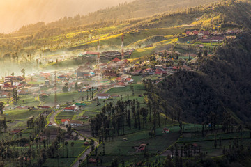 Sunrise in the forest near Bromo volcano, Java island, Indonesia