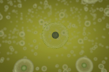 Scientific illustration of cells dividing by osmosis, background with cells, 3D render illustration