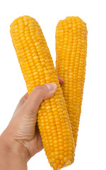 yellow boiled corn