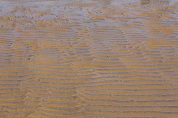 Obraz premium Ocean Lines