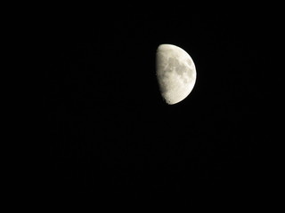 Luna © lk_photo