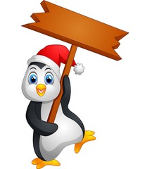 Cute penguin christmas cartoon holding blank sign