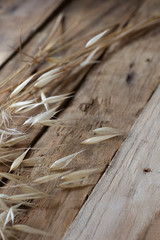 dry wilde oats on a wood surface