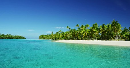 Beautiful tropical island paradise with palm trees in the south paciifc