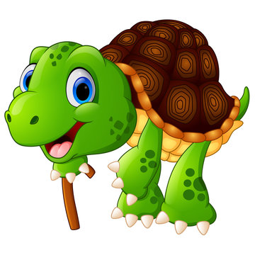 Illustration of elderly tortoise
