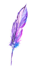 Isolated watercolor purple feather. Birds feathers for boho style and decoration.