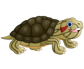 Cartoon baby cute turtle