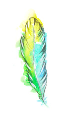 Isolated watercolor colorful feather. Birds feathers for boho style and decoration.