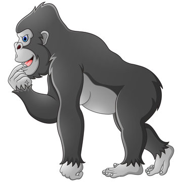 Cartoon Gorilla 