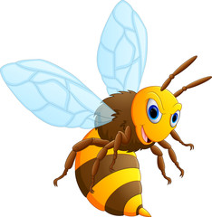 Angry bee cartoon