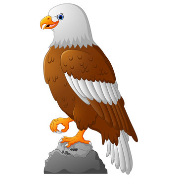 Cartoon eagle posing on the stone