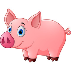 Cute baby pig cartoon