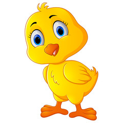 Cute chicken cartoon