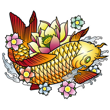 koi fish with lotus