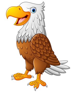 Cartoon eagle posing