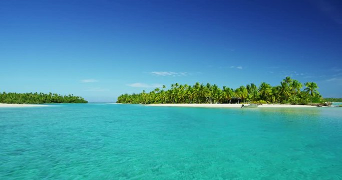 Beautiful tropical island paradise with palm trees in the south paciifc