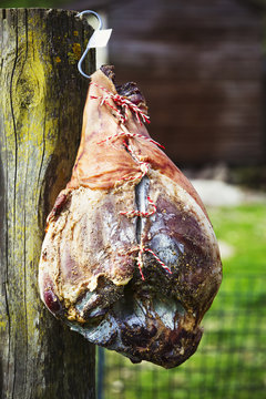 Close up of a cured ham hanging on a wooden fence.