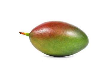 Mango isolated