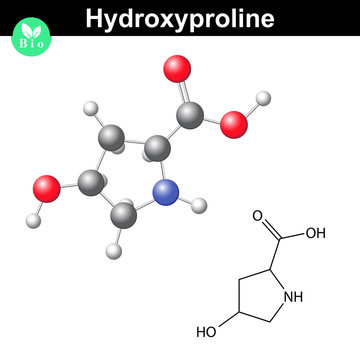 Hydroxyproline heterocyclic amino acid