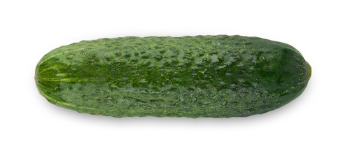 One ripe fresh green cucumber isolated on white background