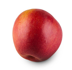 One ripe fresh apple isolated on white background