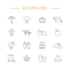 Set autumn icon