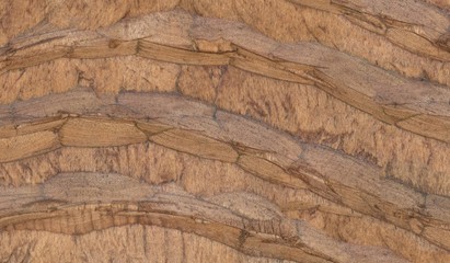 Wood texture. Lining boards wall. Wooden background pattern. Showing growth rings. Brown Colour
