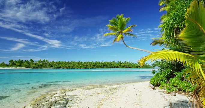Beautiful tropical island paradise with palm trees in the South Pacific