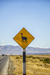 Careful llamas crossing