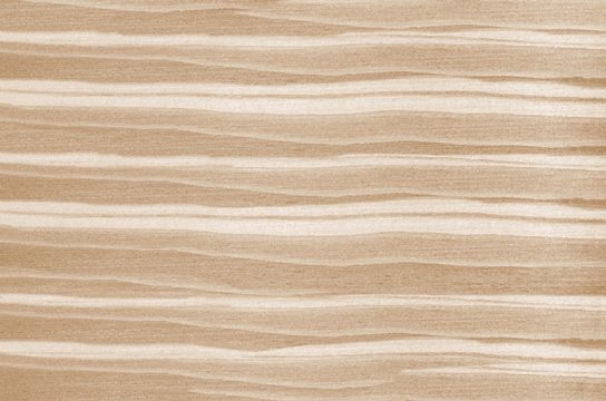 Wood texture. Lining boards wall. Wooden background pattern. Showing growth rings. light spruce, pine