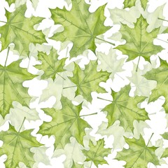 Fototapety  Zielone liście klonu. Malarstwo akwarelowe. Wzór. Tło 8