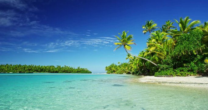 Beautiful tropical island paradise with palm trees in the South Pacific