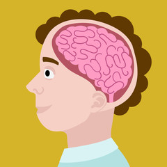 Human head in section cartoon vector illustration